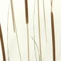 creekside | 3form